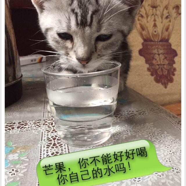 伪造韩国岭南大学文凭毕业证